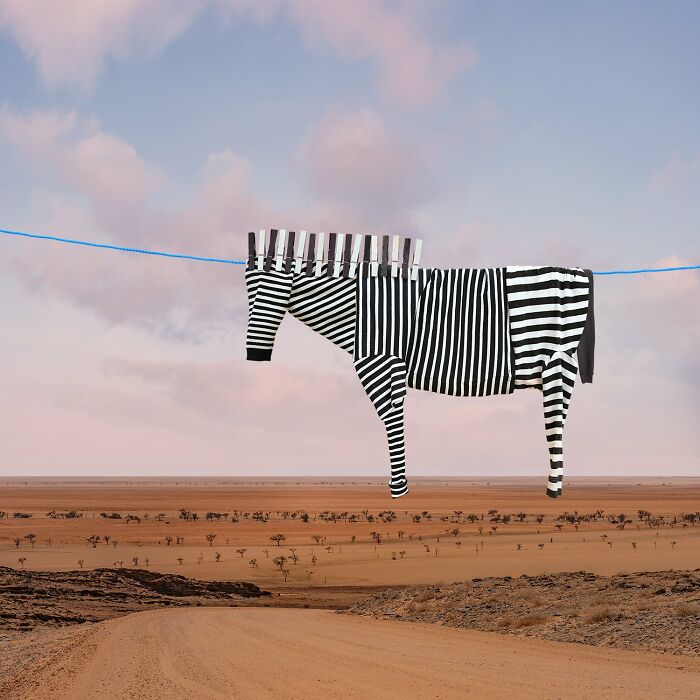 Striped laundry hanging on a line shaped like playful animals in picturesque desert landscapes.