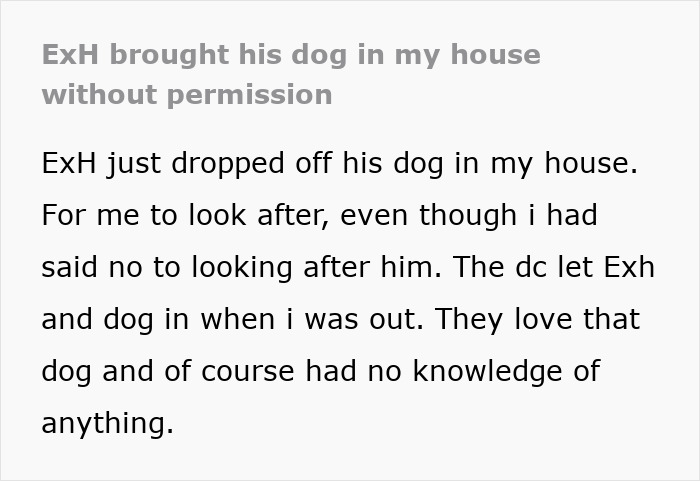 Woman Stuck With Ex&rsquo;s Massive Dog As He Goes Abroad, Starts Calling Shelters To Get Rid Of It