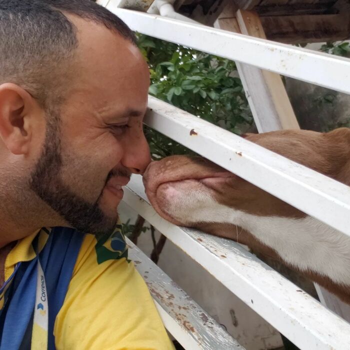 Mailman Takes Selfies With Every Animal That He Befriends While On His Job, And Here Are The Newest 44 Photos
