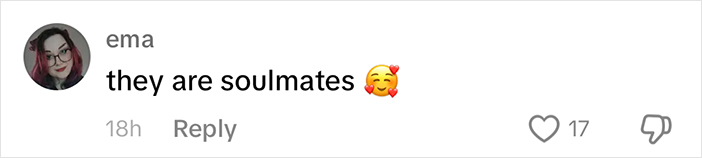 Woman Let Her Dalmatian Keep A Foster Kitten And It Resulted In The Most Beautiful Friendship Woman Let Her Dalmatian Keep A Foster Kitten And It Resulted In The Most Beautiful Friendship