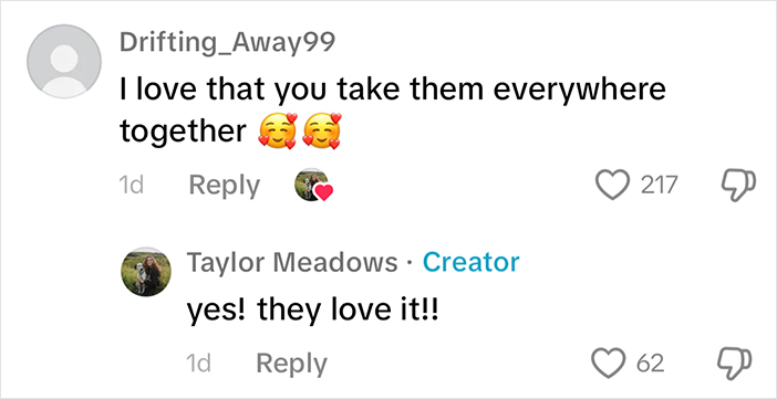 Woman Let Her Dalmatian Keep A Foster Kitten And It Resulted In The Most Beautiful Friendship Woman Let Her Dalmatian Keep A Foster Kitten And It Resulted In The Most Beautiful Friendship