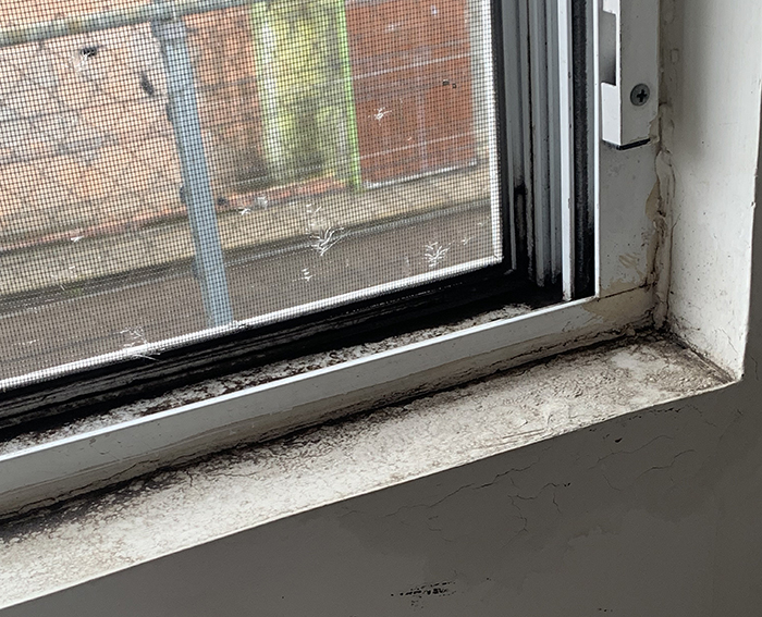 "Dirty window sill in a filthy apartment, girlfriend unaware of boyfriend's concerns about cleanliness. "Dirty window sill in a filthy apartment, girlfriend unaware of boyfriend's concerns about cleanliness.