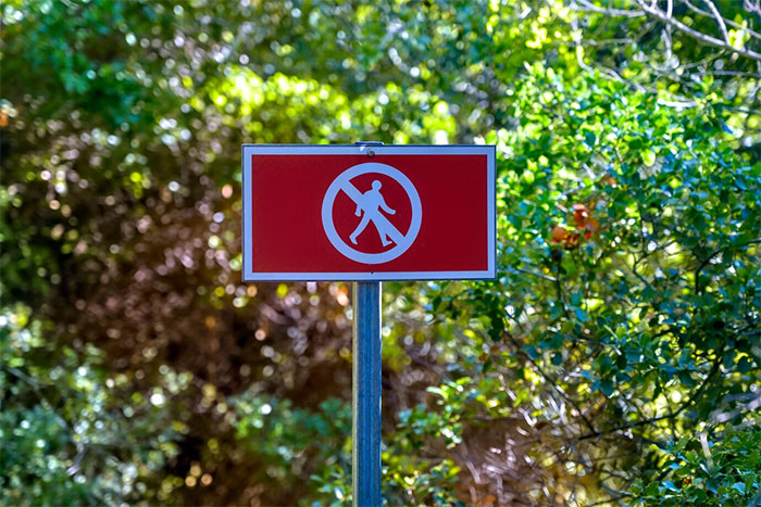 "No entry sign in a lush green forest setting.