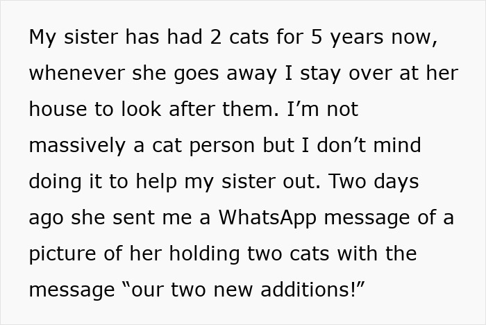 Woman Assumes Sis Will Look After Her 4 Cats While She's On Holiday, But She Doesn't Want To