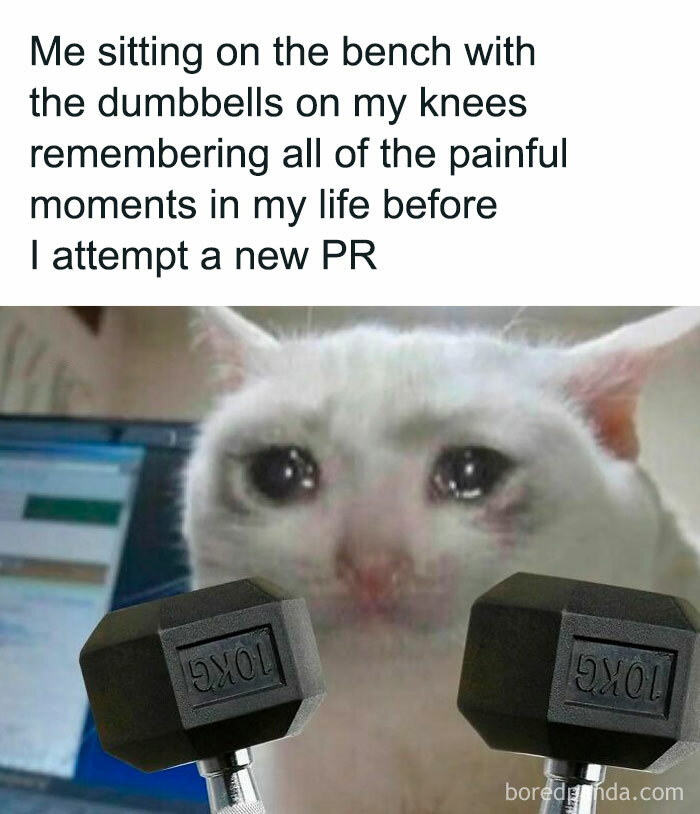 Funny gym meme featuring a crying cat with dumbbells and text about the pain of attempting a new personal record.