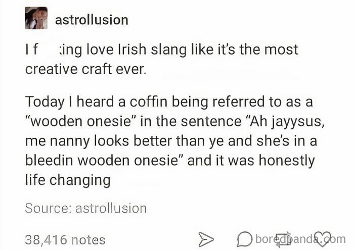 Funny post highlighting Irish slang, describing a coffin as a "wooden onesie," capturing Ireland's charm.