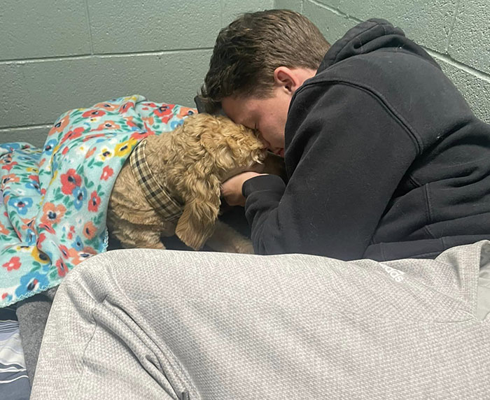 Couple Rescue Injured And Abandoned Dog, Use Their Wedding Fund To Save Her Life Couple Rescue Injured And Abandoned Dog, Use Their Wedding Fund To Save Her Life