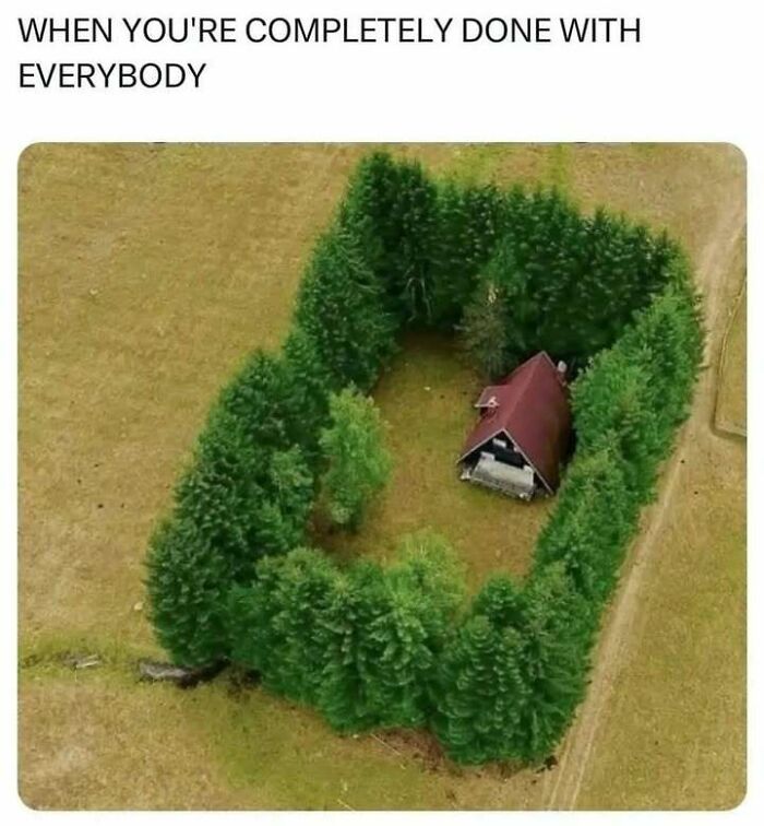 Aerial view of a cabin surrounded by a dense hedge of trees, symbolizing isolation from others.