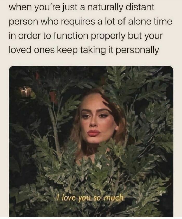 Person hiding in bushes, capturing the feeling of wanting alone time, with text overlay expressing relatable introvert struggles.