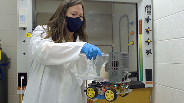 Rats Who Were Taught To Drive Enjoy Going For Rides, Rev The Engine As Soon As They Get In Rats Who Were Taught To Drive Enjoy Going For Rides, Rev The Engine As Soon As They Get In