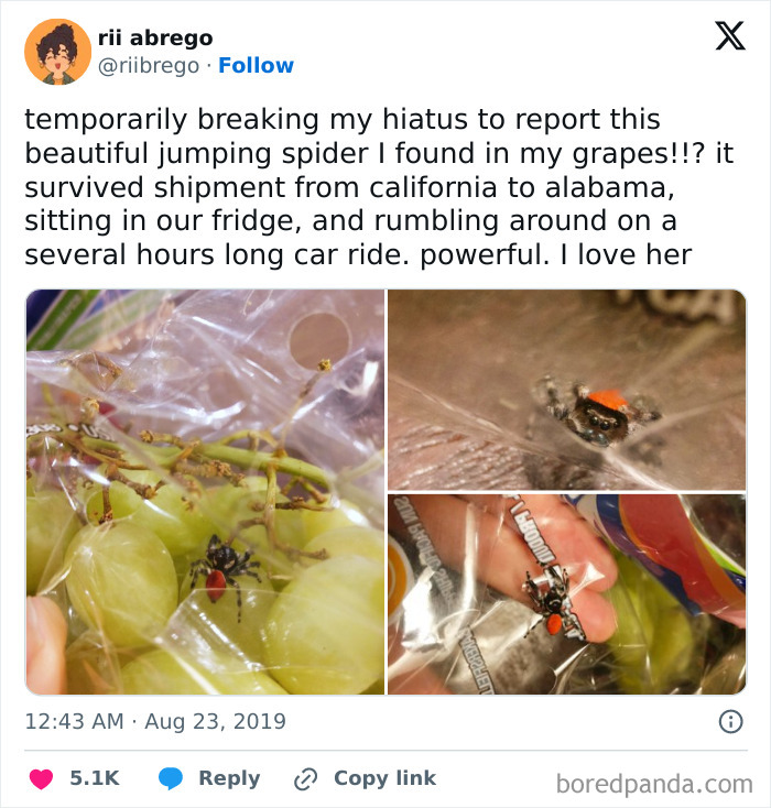 She's Beautiful But Also Ma'am I'm Gonna Have To Ask You To Leave