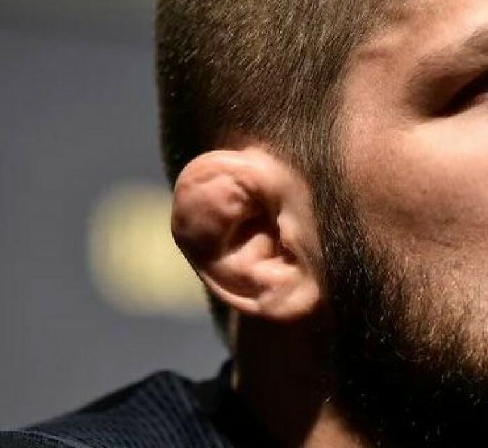 “Turning Into High-Velocity Sausage Meat”: 35 Things People Shouldn’t Mess Around With