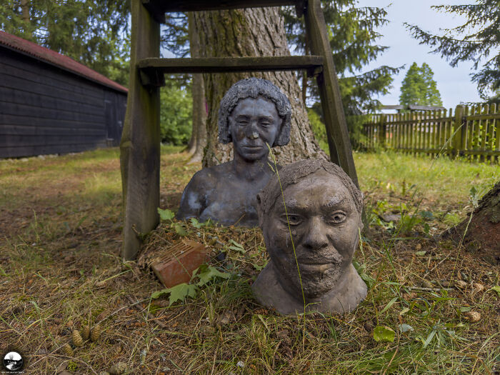 Sculptures by Adam Szubski under a tree, showcasing intricate facial expressions in a rustic outdoor setting.