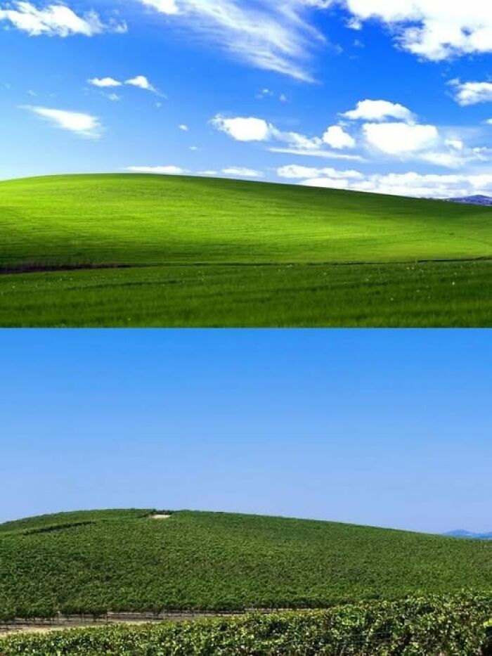 Funny-It-Humor-Memes