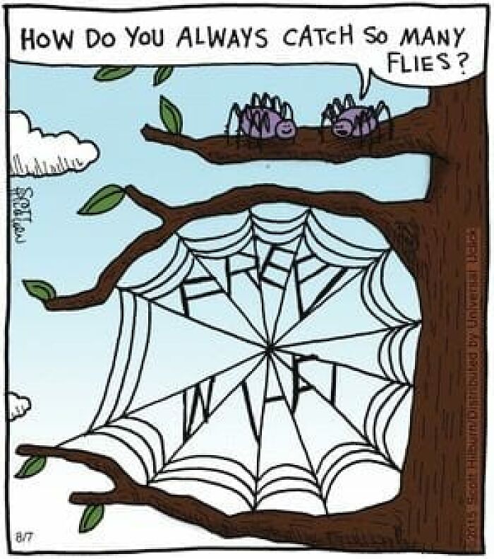 Two spiders on a tree branch discussing a web that reads "FREE WIFI," humorously capturing the essence of IT memes.