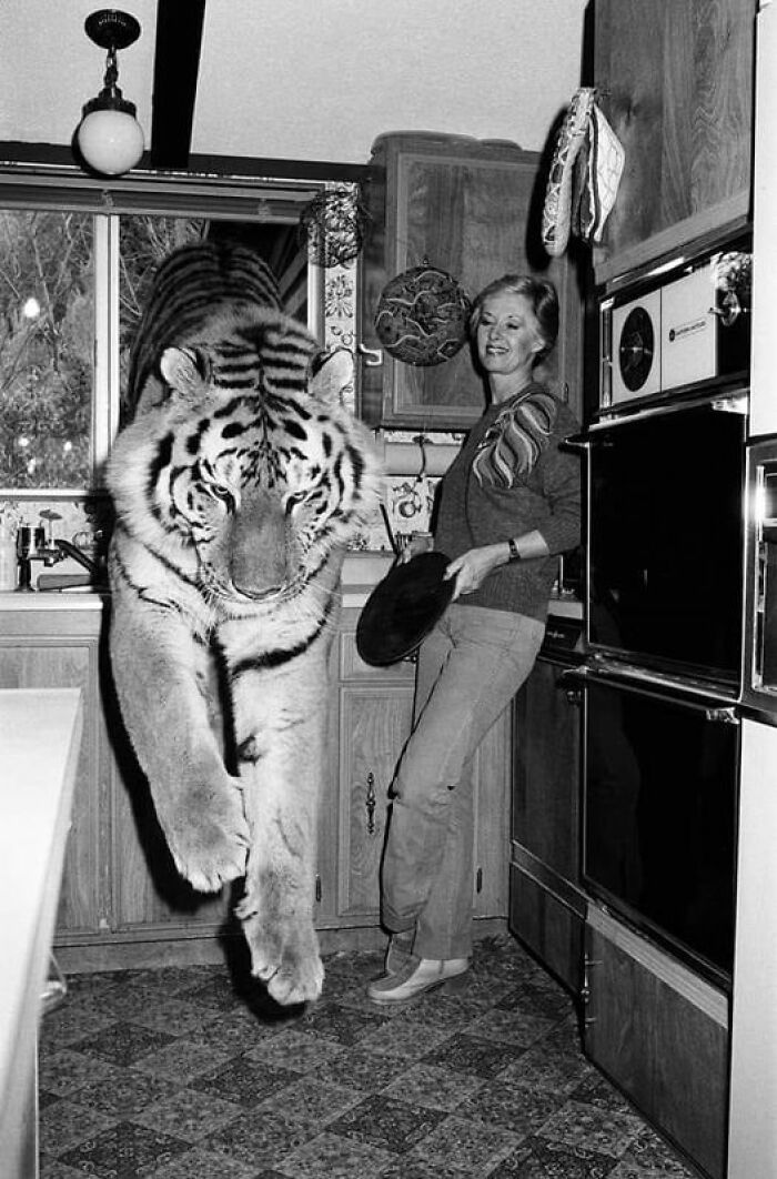 Tippi Hedren And Her Tiger, 1982