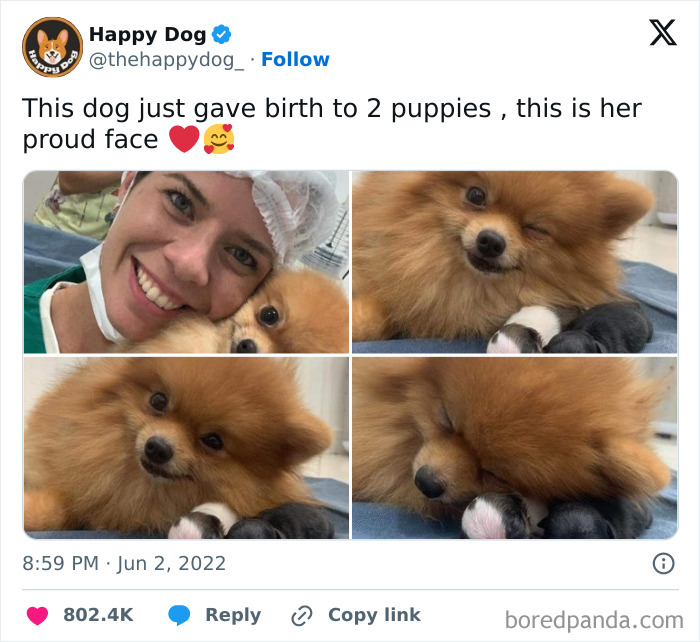 Funny-Relatable-Jokes-Memes