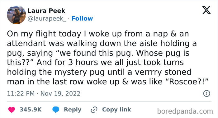Tweet about a hilarious in-flight pug search, gaining attention with 345.9K likes, part of 76 Random Tweets collection.
