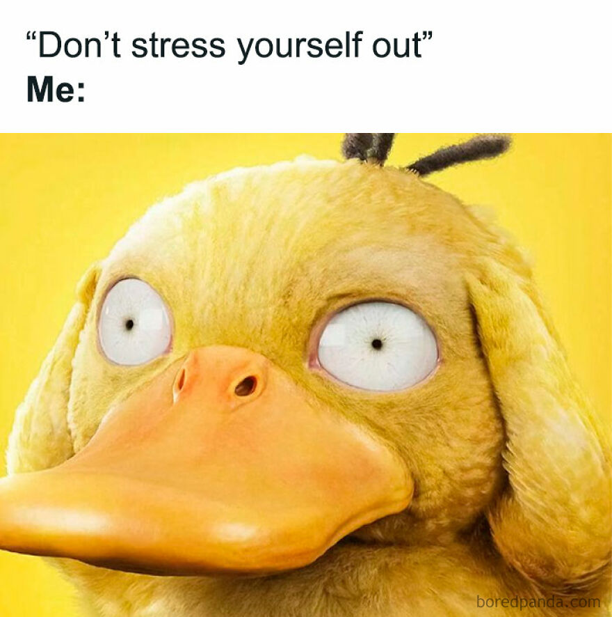 Funny meme of cartoon duck with wide eyes and text "Don't stress yourself out" for a laugh.