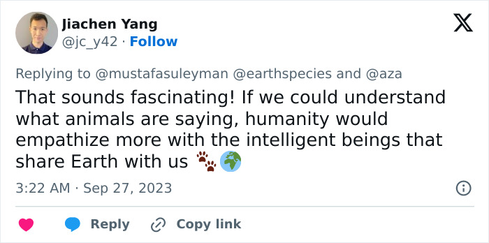 AI Is Translating Whale Language, Which May Help Us Communicate With Extraterrestrials One Day