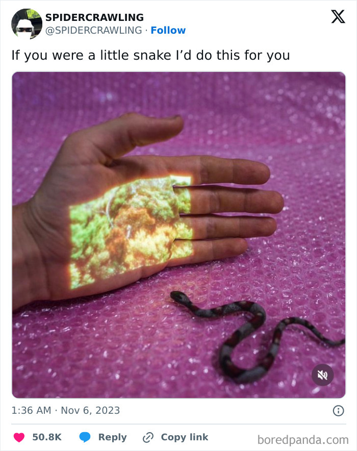 Hand with forest projection next to a small snake on pink bubble wrap. Funny memes.