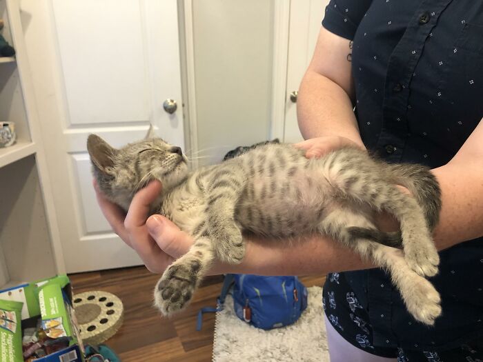 A Very Tired Ripley Belly