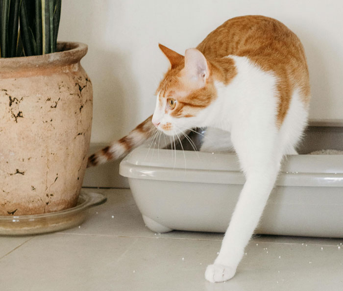 Estas 38 personas nos contaron qué ideas para ahorrar dinero valen la pena y cuáles son una pérdida de tiempo