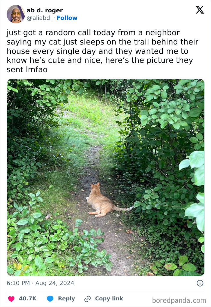 What A Nice Neighbors