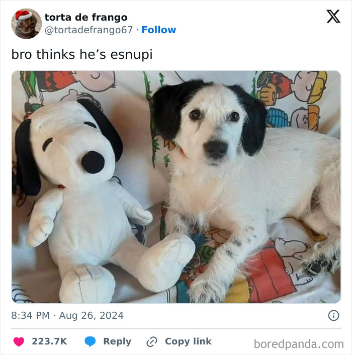Dog resembling Snoopy plush on colorful blanket, featuring funny-memes-unbruhthered concept.