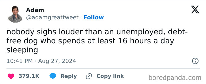 Funny meme about a dog that sleeps 16 hours, illustrating humor to balance out everything going wrong today.