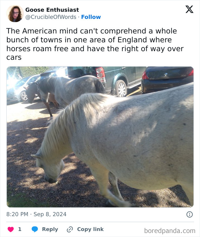 European-Things-Americans-Dont-Get