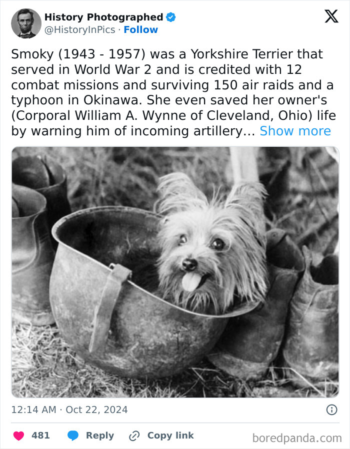 Interesting-Old-Historical-Pics