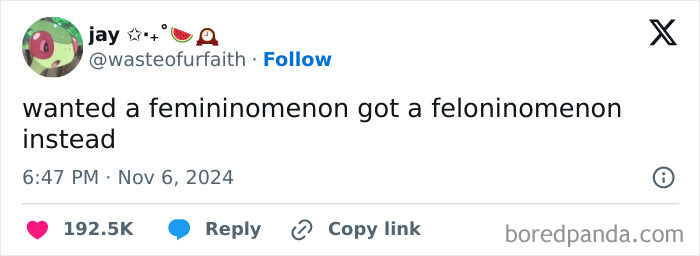 Tweet with a pun about wanting a "femininomenon" but getting a "feloninomenon" instead. November funny tweets online.