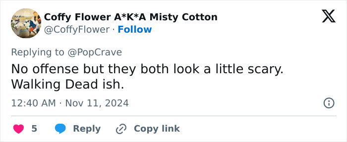 Tweet criticizing Ariana Grande's appearance at a movie premiere, comparing it to "The Walking Dead.