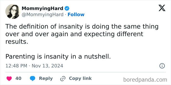 Tweet by a user joking about parenting experiences, calling it insanity in a nutshell.