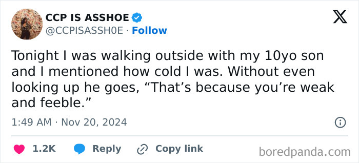 Tweet about parenting experiences, featuring a humorous exchange between a parent and their 10-year-old son.