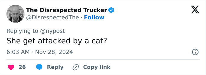 Tweet questioning Catwoman-Jocelyn-Wildenstein's appearance with sarcastic comment about a cat attack. Tweet questioning Catwoman-Jocelyn-Wildenstein's appearance with sarcastic comment about a cat attack.