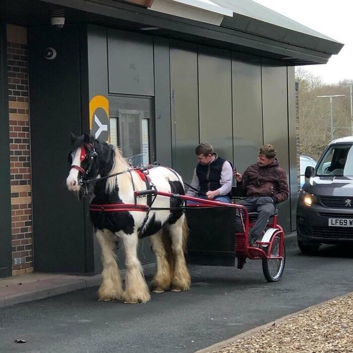 50 Of The Most Cursed Images For People Who Have A Higher Tolerance For Weirdness