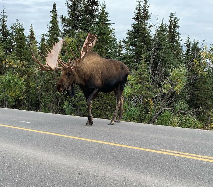 “Mowing Your Lawn On A Sunday”: 30 Taboo Things Other Countries Don’t Think Twice About