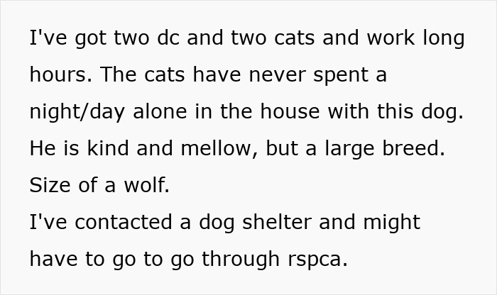 Woman Stuck With Ex&rsquo;s Massive Dog As He Goes Abroad, Starts Calling Shelters To Get Rid Of It