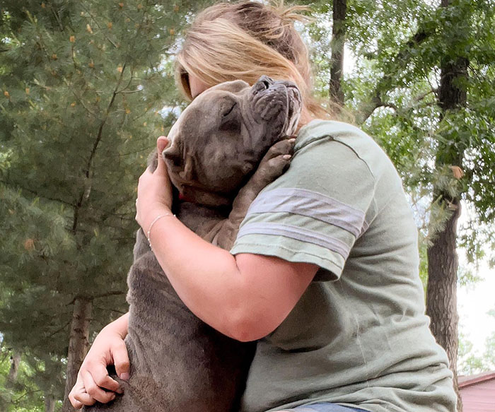 Lovely Pitbull Can&rsquo;t Stop Hugging Woman Who Gave Him Foster Home, Goes Viral When Pics Spread Online
