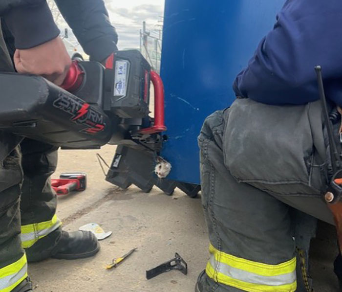 Kitty Trapped In Dumpster Gets Rescued By Firefighters With Heavy Machinery, And Netizens Are Happy Kitty Trapped In Dumpster Gets Rescued By Firefighters With Heavy Machinery, And Netizens Are Happy