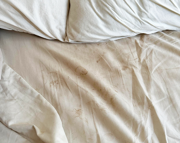 Dirty bed sheets with visible stains and wrinkles related to a relationship incident.