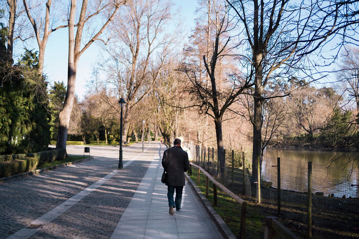 A person walking alone on a tree-lined path, capturing the experience of reverse culture shock for Americans lived abroad.