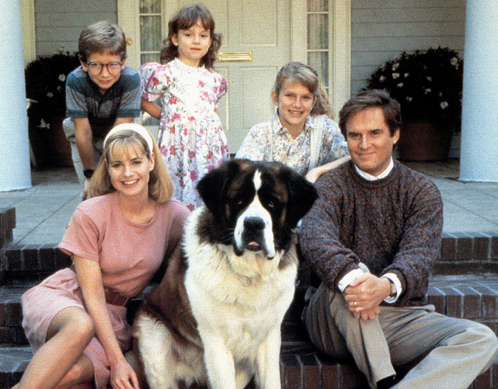 “They Died?? I Thought They Fell Asleep!”: 50 Worst Cases Of People Misunderstanding The Plot