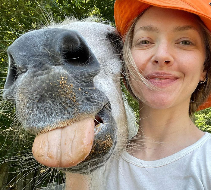 Amanda Seyfried Reveals Why Leaving Hollywood Was The “Best Decision” Amanda Seyfried Reveals Why Leaving Hollywood Was The “Best Decision”