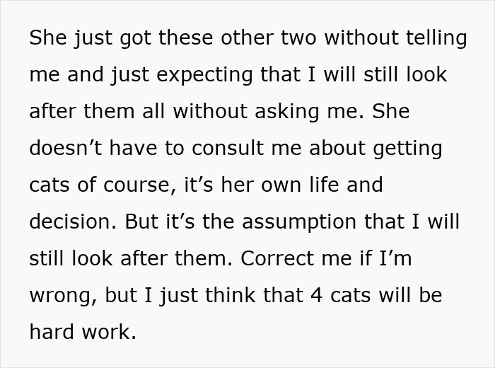 Woman Assumes Sis Will Look After Her 4 Cats While She's On Holiday, But She Doesn't Want To