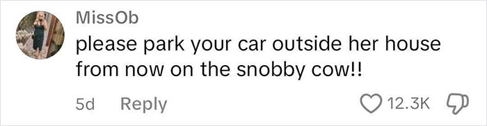 Karen Comes To Woman’s Home To Judge Her Car As It’s Not As Nice As The Rest In The Neighborhood Karen Comes To Woman’s Home To Judge Her Car As It’s Not As Nice As The Rest In The Neighborhood