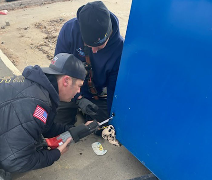 Kitty Trapped In Dumpster Gets Rescued By Firefighters With Heavy Machinery, And Netizens Are Happy Kitty Trapped In Dumpster Gets Rescued By Firefighters With Heavy Machinery, And Netizens Are Happy