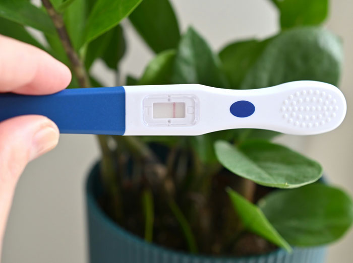 20 Secretos de Hollywood que famosos y ejecutivos querrían esconder bajo la alfombra